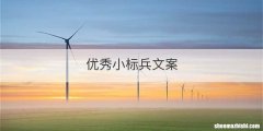 优秀小标兵文案