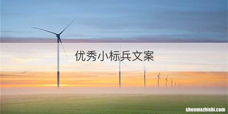 优秀小标兵文案