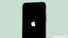 iPhone教程 如何阻止苹果手机的侧边按钮挂断电话