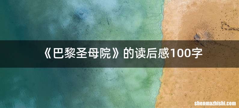 《巴黎圣母院》的读后感100字