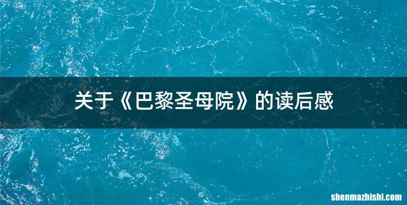 关于《巴黎圣母院》的读后感