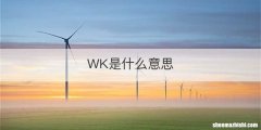 WK是什么意思