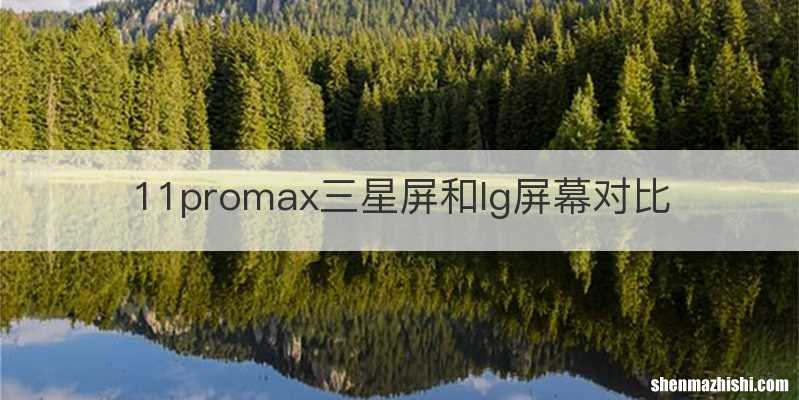 11promax三星屏和lg屏幕对比
