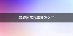 曼城阿尔瓦雷斯怎么了