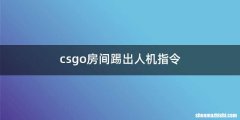 csgo房间踢出人机指令