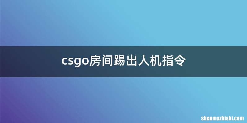 csgo房间踢出人机指令
