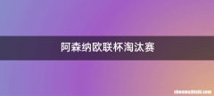 阿森纳欧联杯淘汰赛