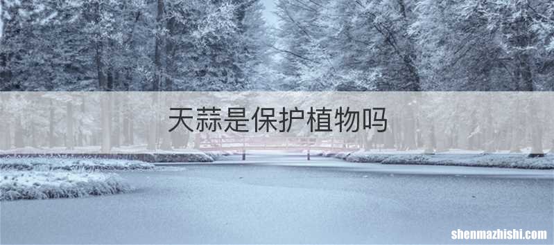 天蒜是保护植物吗