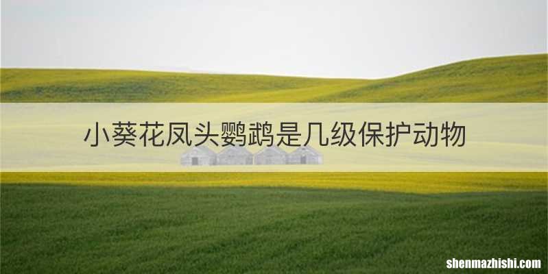 小葵花凤头鹦鹉是几级保护动物