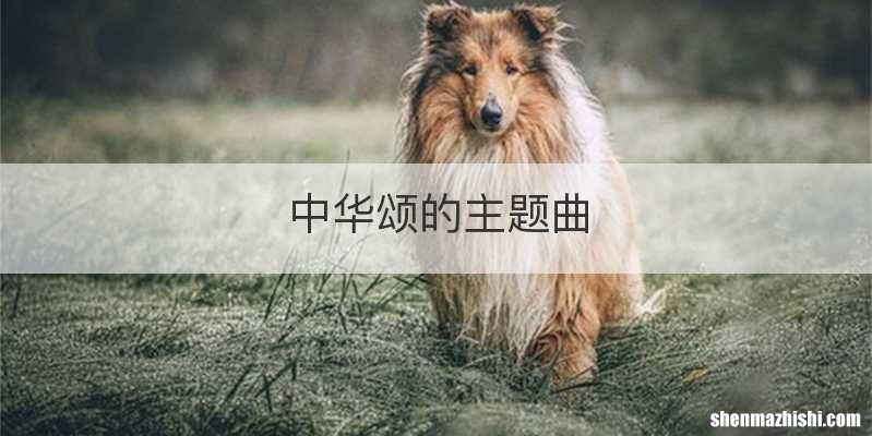 中华颂的主题曲