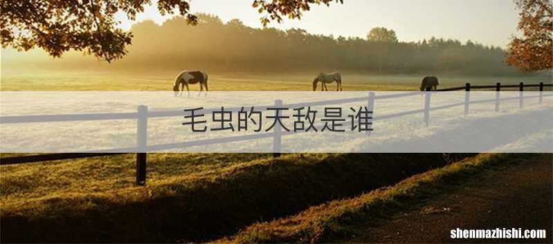 毛虫的天敌是谁