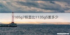1165g7核显比1135g5差多少