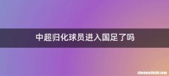 中超归化球员进入国足了吗