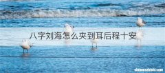 八字刘海怎么夹到耳后程十安