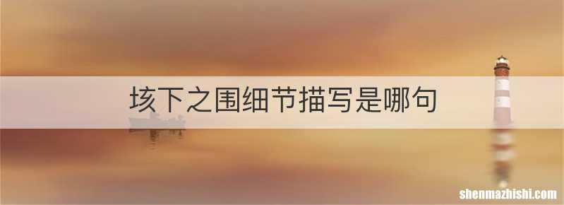 垓下之围细节描写是哪句