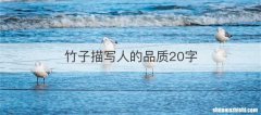 竹子描写人的品质20字