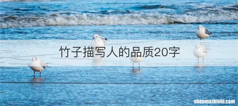 竹子描写人的品质20字
