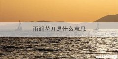 雨润花开是什么意思