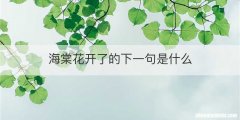海棠花开了的下一句是什么