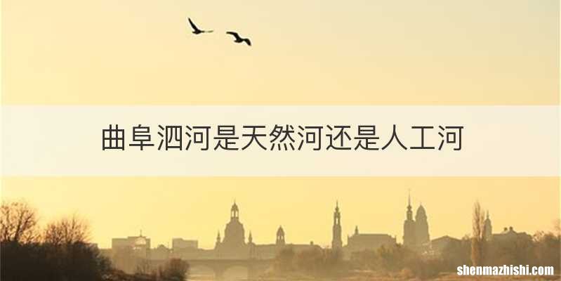 曲阜泗河是天然河还是人工河