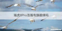 瑞虎8Pro浩瀚有旗舰绿吗