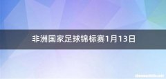 非洲国家足球锦标赛1月13日