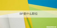 BP是什么职位