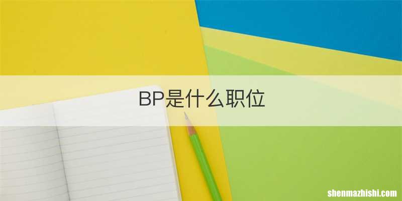 BP是什么职位