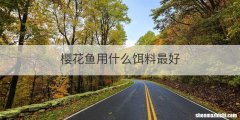 樱花鱼用什么饵料最好
