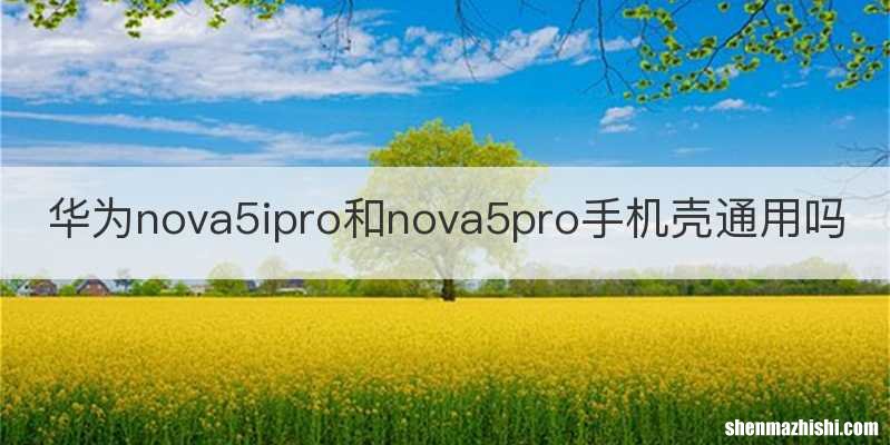 华为nova5ipro和nova5pro手机壳通用吗
