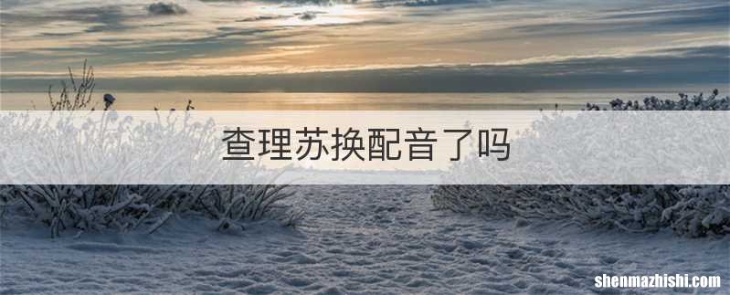 查理苏换配音了吗