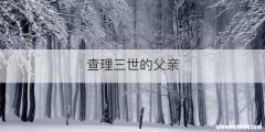 查理三世的父亲