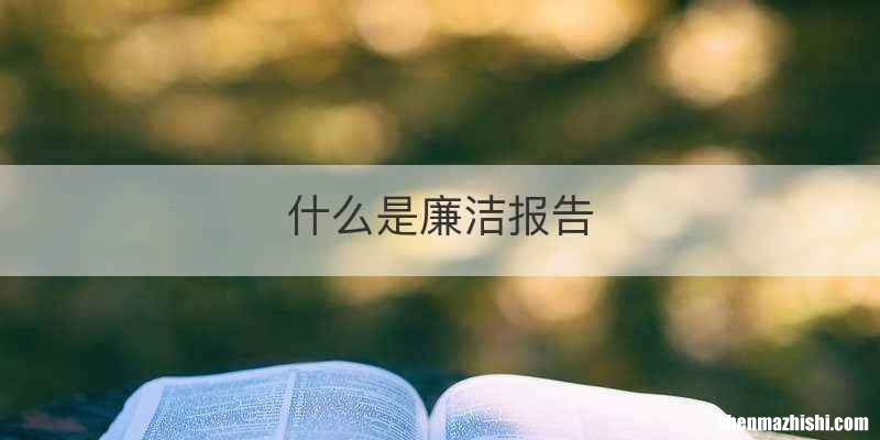 什么是廉洁报告