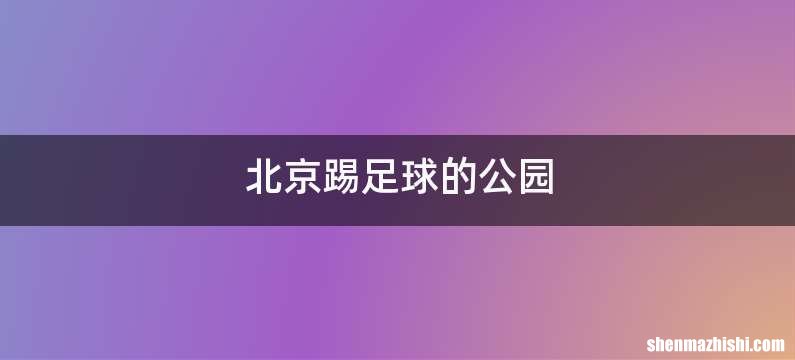 北京踢足球的公园
