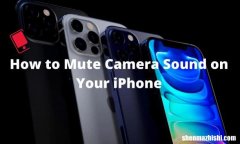 如何在iPhone14上静音相机快门声音