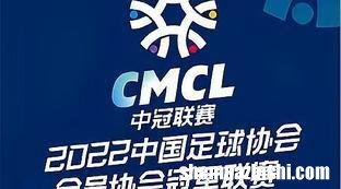 中国中冠球队