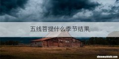 五线菩提什么季节结果