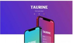 苹果教程 如何在iPhone运行iOS14 Taurine越狱工具