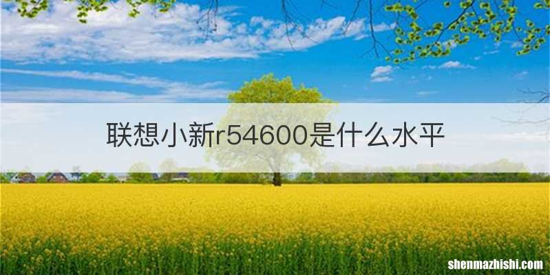 联想小新r54600是什么水平
