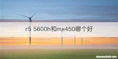 r5 5600h和mx450哪个好