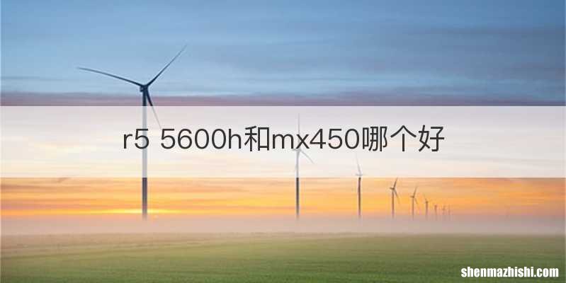 r5 5600h和mx450哪个好