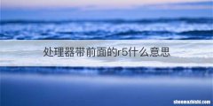 处理器带前面的r5什么意思