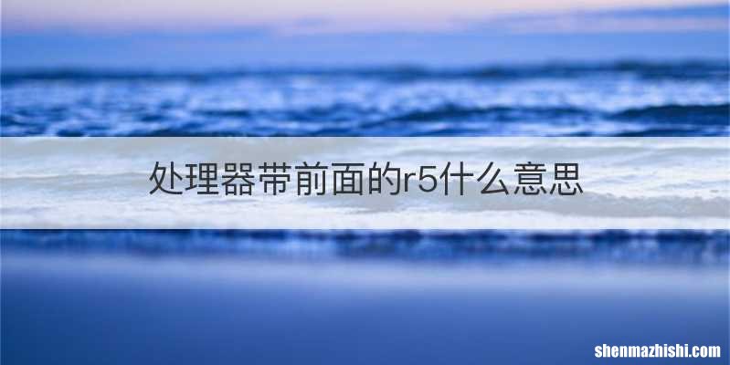 处理器带前面的r5什么意思