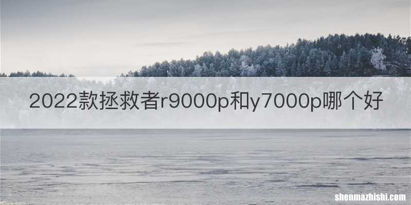 2022款拯救者r9000p和y7000p哪个好