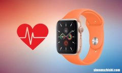Apple Watch如何测量心率及其准确性的解释