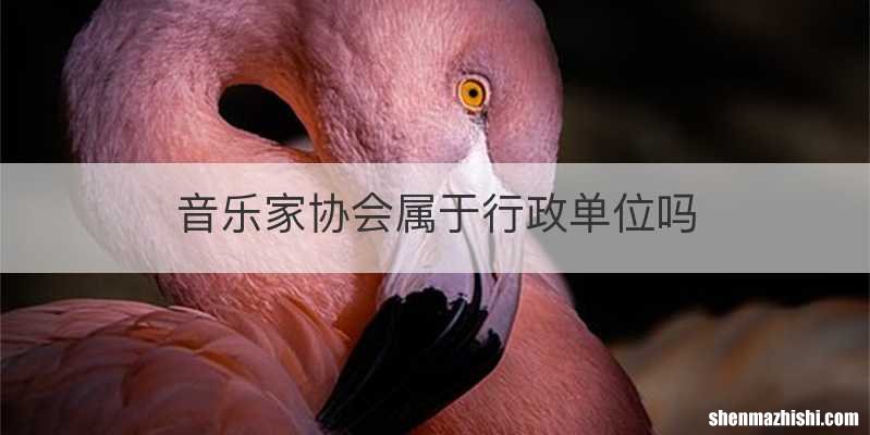 音乐家协会属于行政单位吗