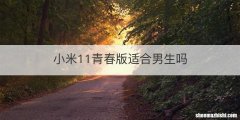 小米11青春版适合男生吗