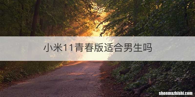 小米11青春版适合男生吗
