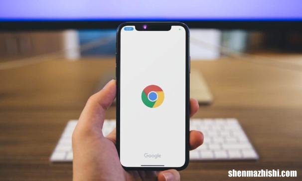 iOS14：如何更改iPhone上的默认浏览器