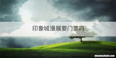 印象城漫展要门票吗